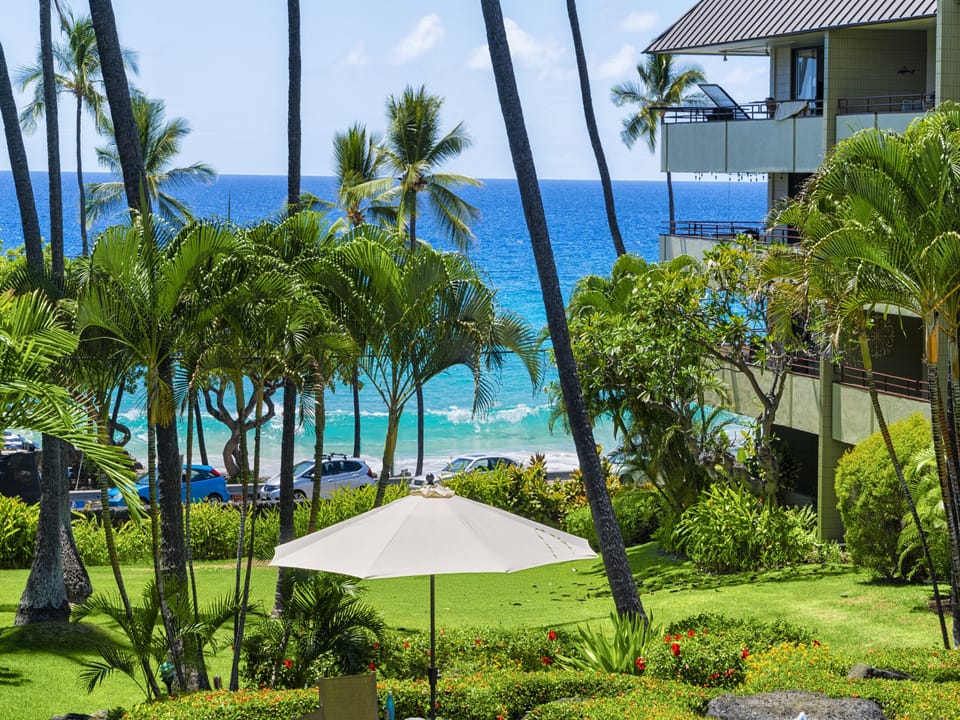 Tropical