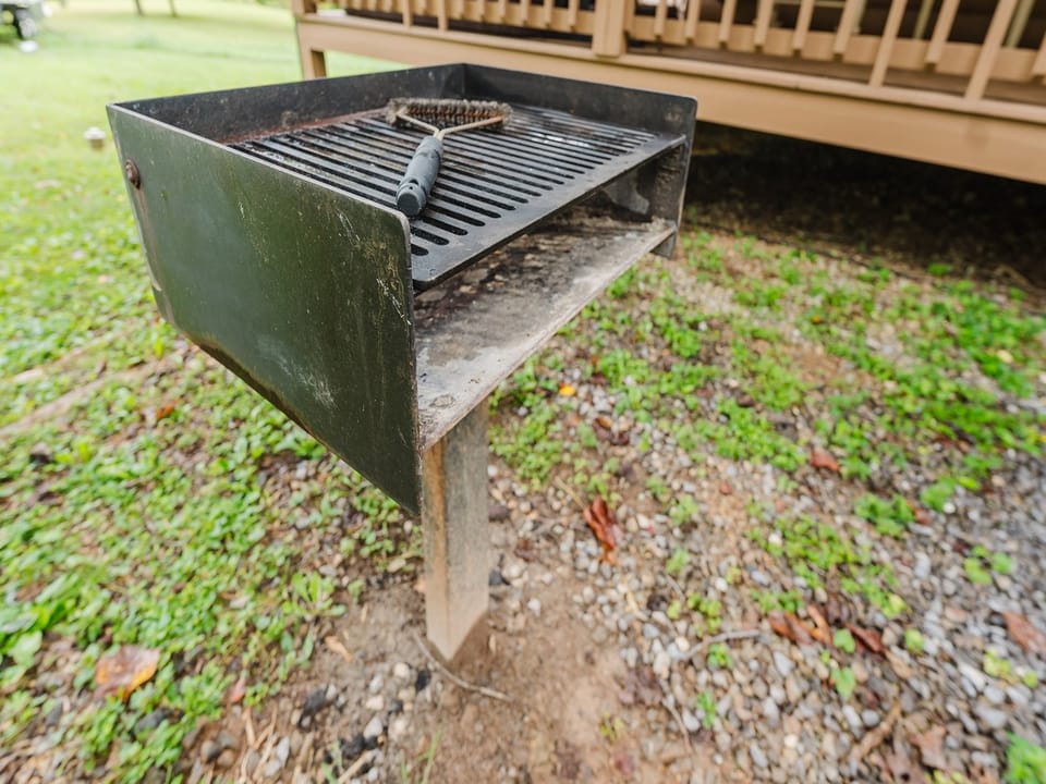 Bbq