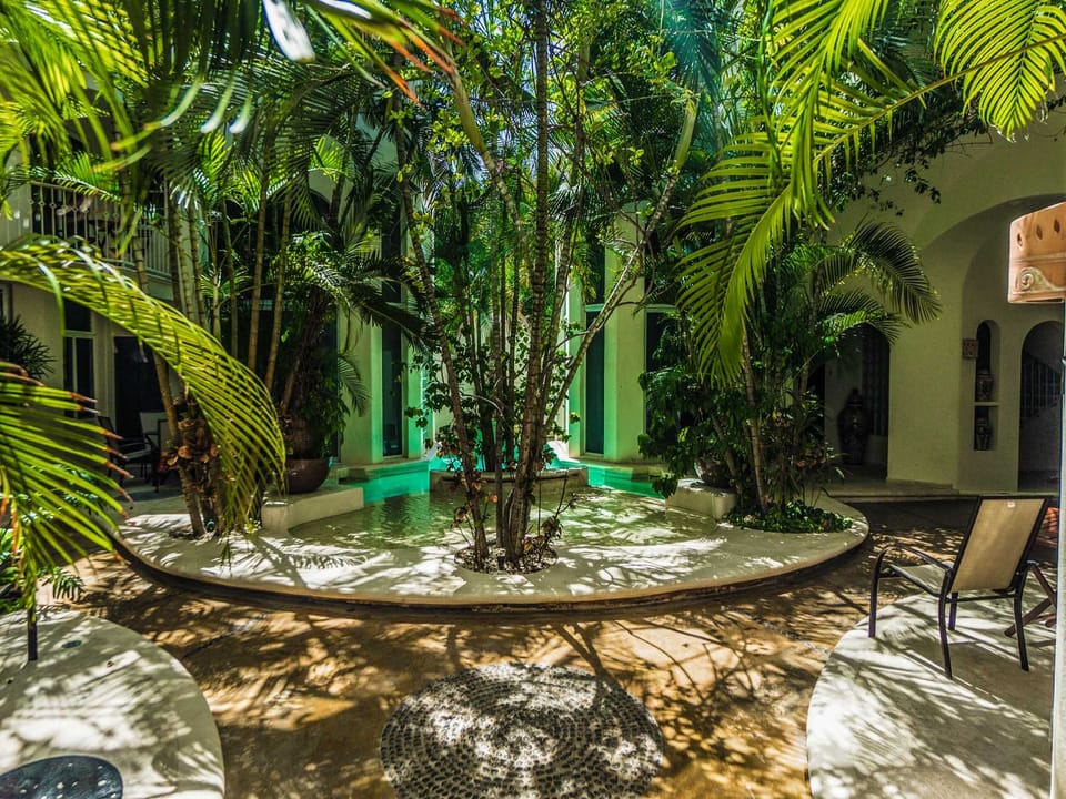Arbour