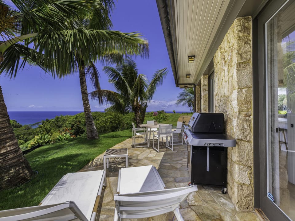 Outdoor view & BBQ