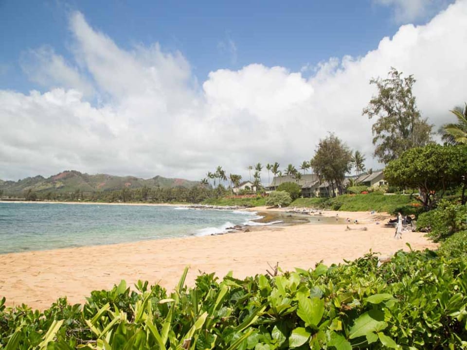Beach Fronting Lae Nani