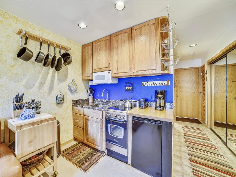 CL309 Kitchen