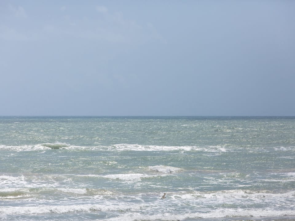 Sea