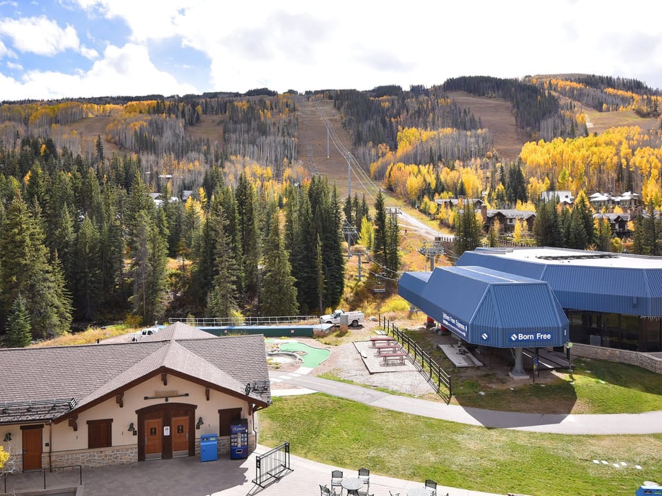 Lionshead-Center-101-MLS_20