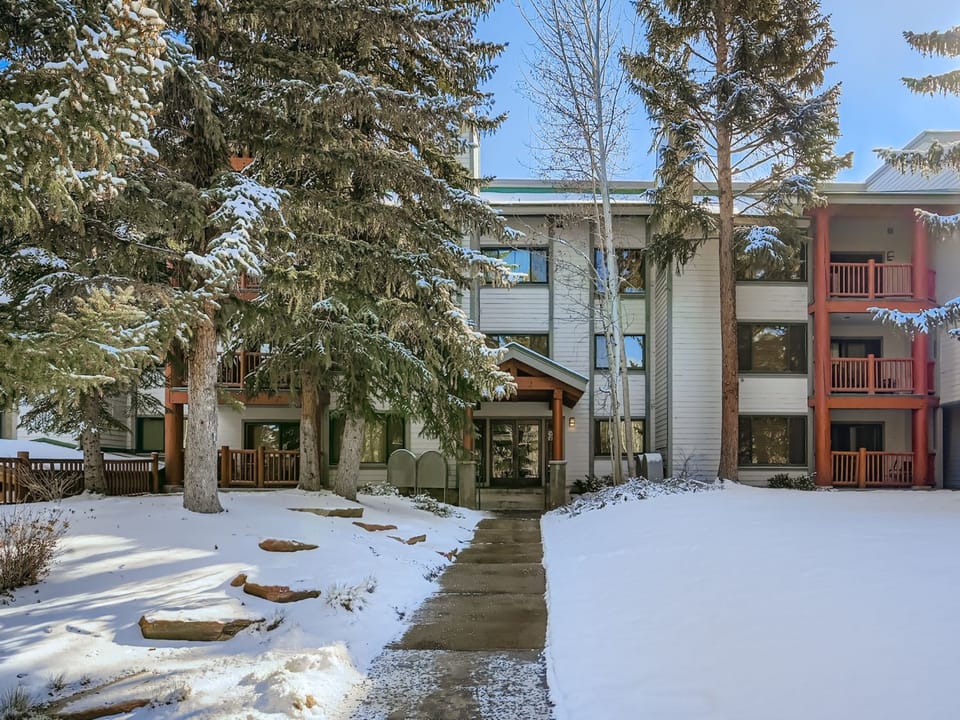 Modern property building nestled among snow-covered evergreen trees in a peaceful winter setting.