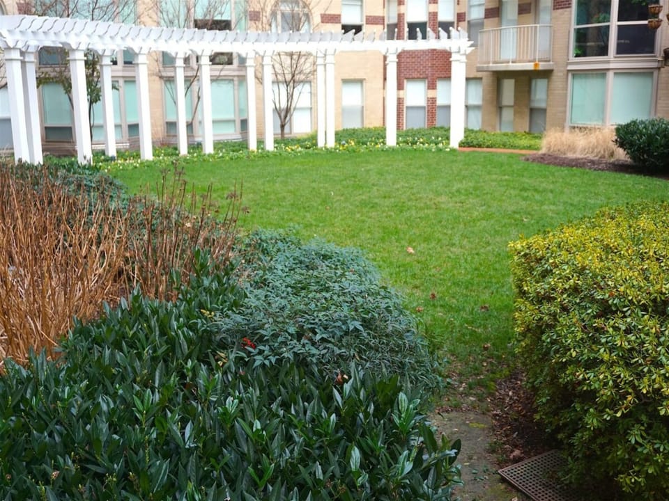 Image 33