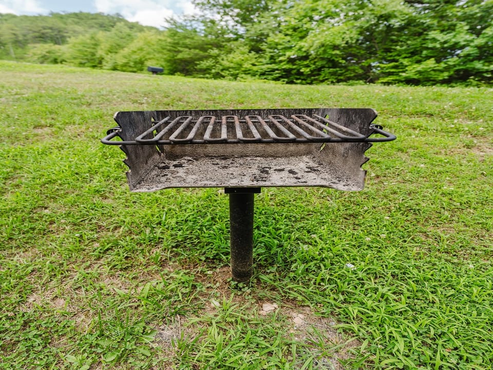 Bbq