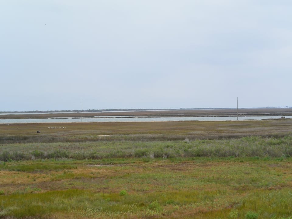 Land