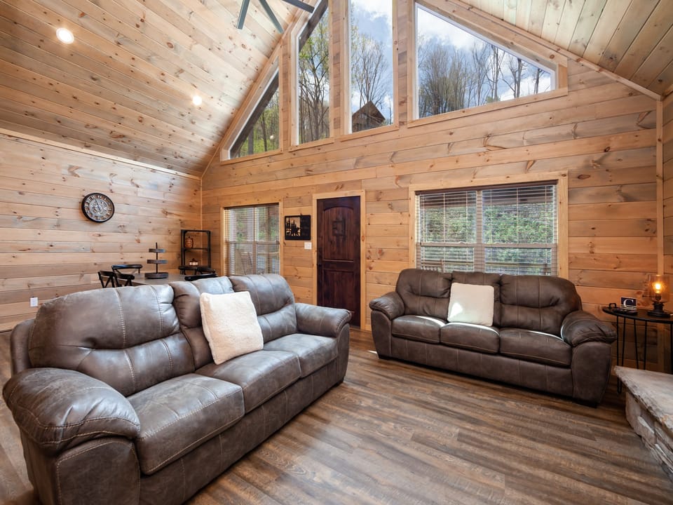 Living Room Area