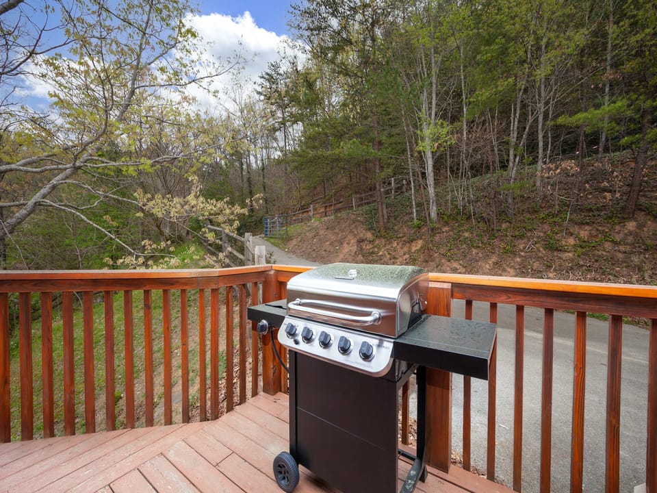 Gas Grill