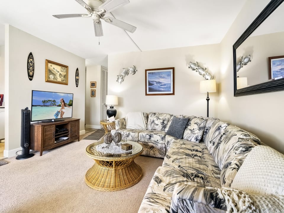 Ceiling Fan