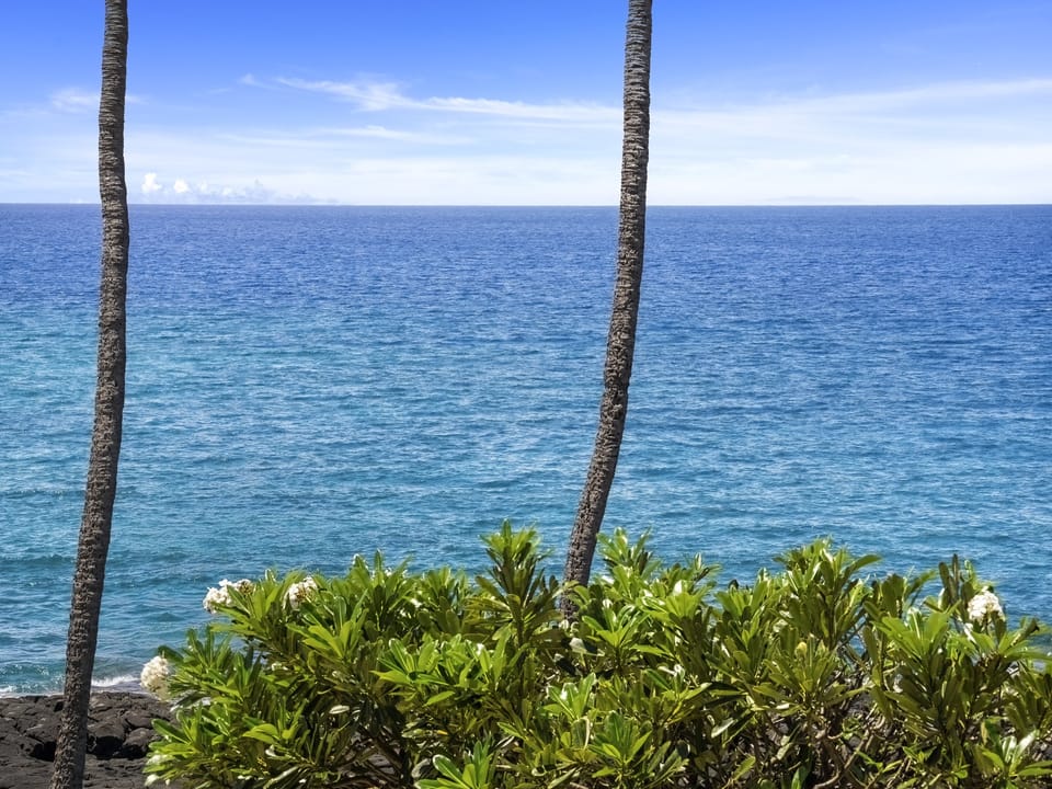 Sea