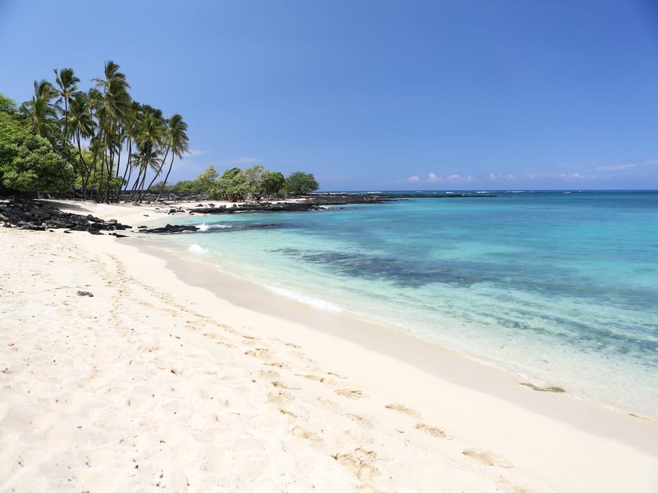 Spend the day at the beach