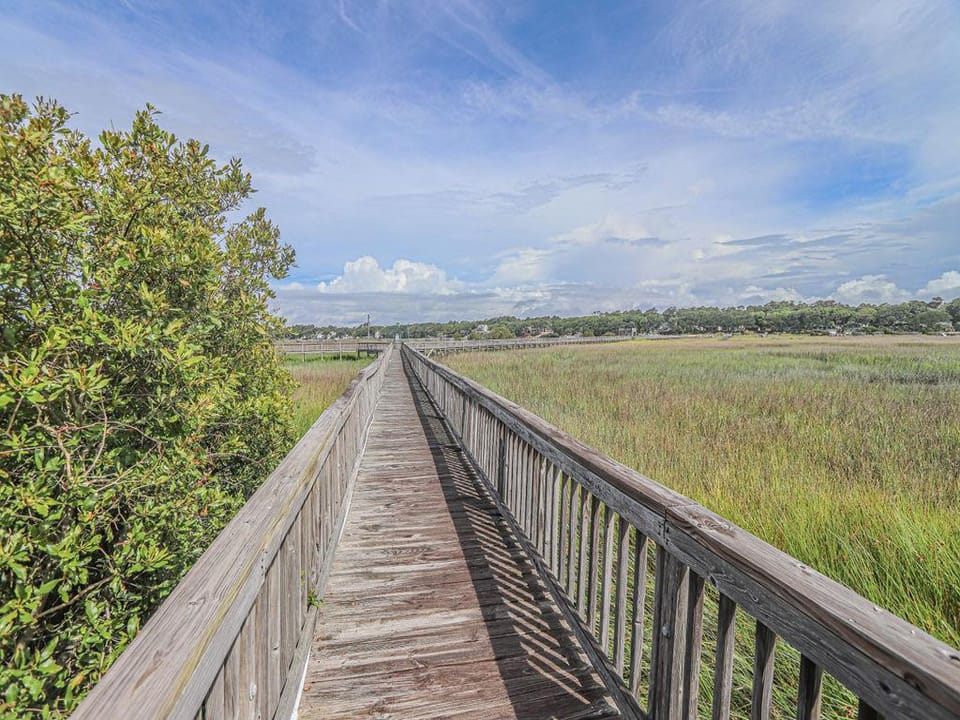 Marsh Walk
