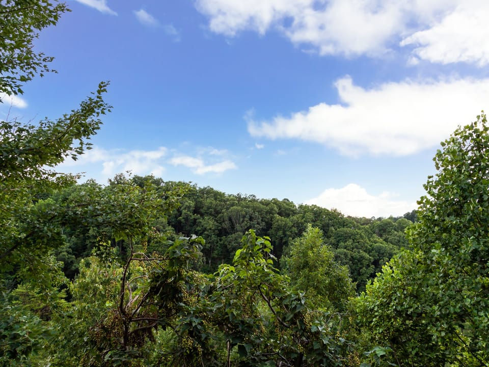 Outdoor View