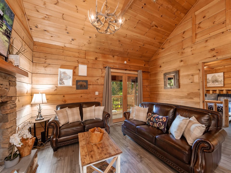 Living Room Area