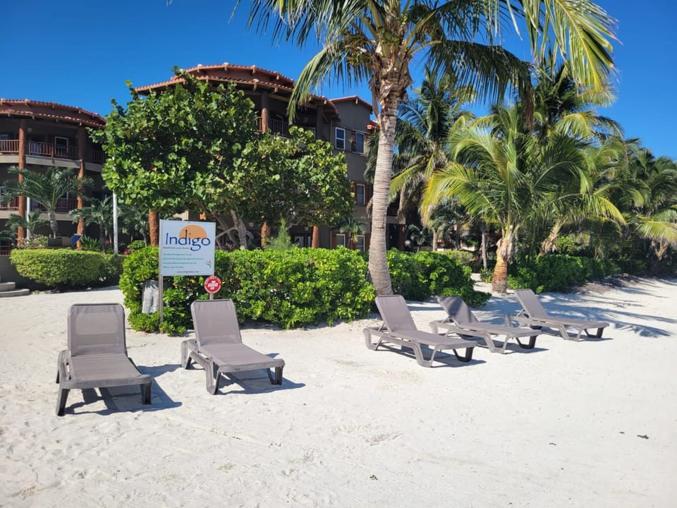 Property beachfront