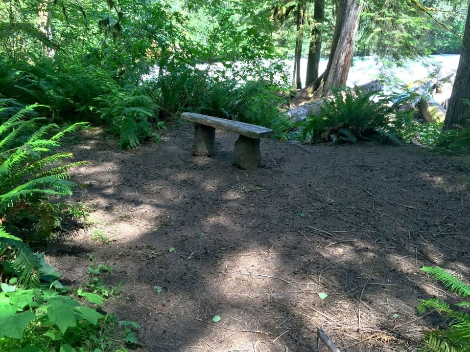 Bench