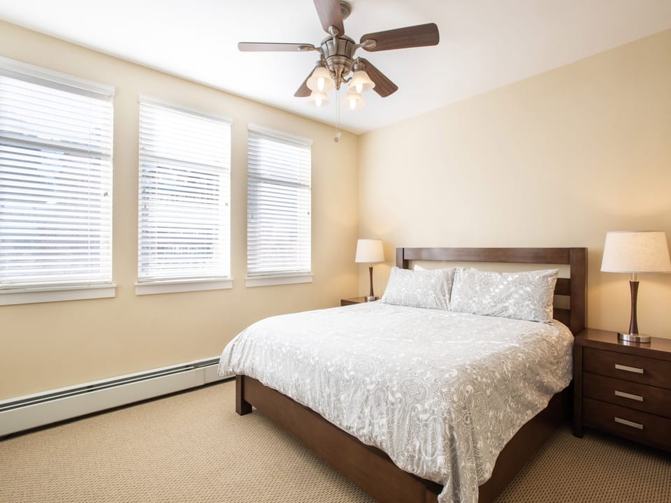 Ceiling Fan