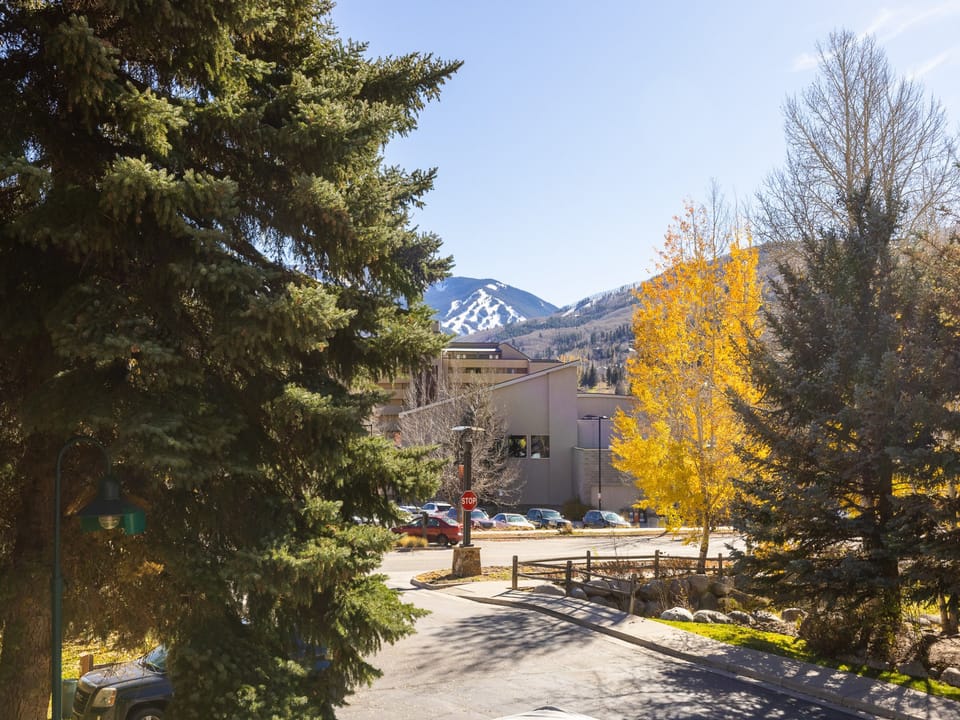 View of a building with a mountain backdrop partially obscured by pine trees. Cars are parked near the building, and the foliage shows signs of autumn with yellowing leaves. Sky is clear and sunny.