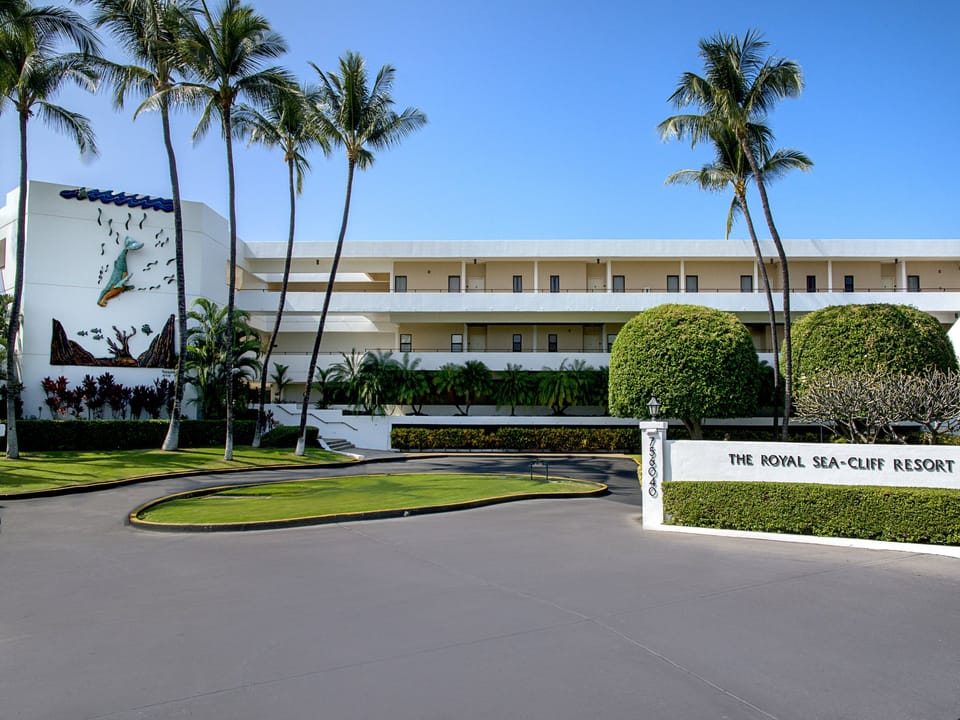 Palm Tree