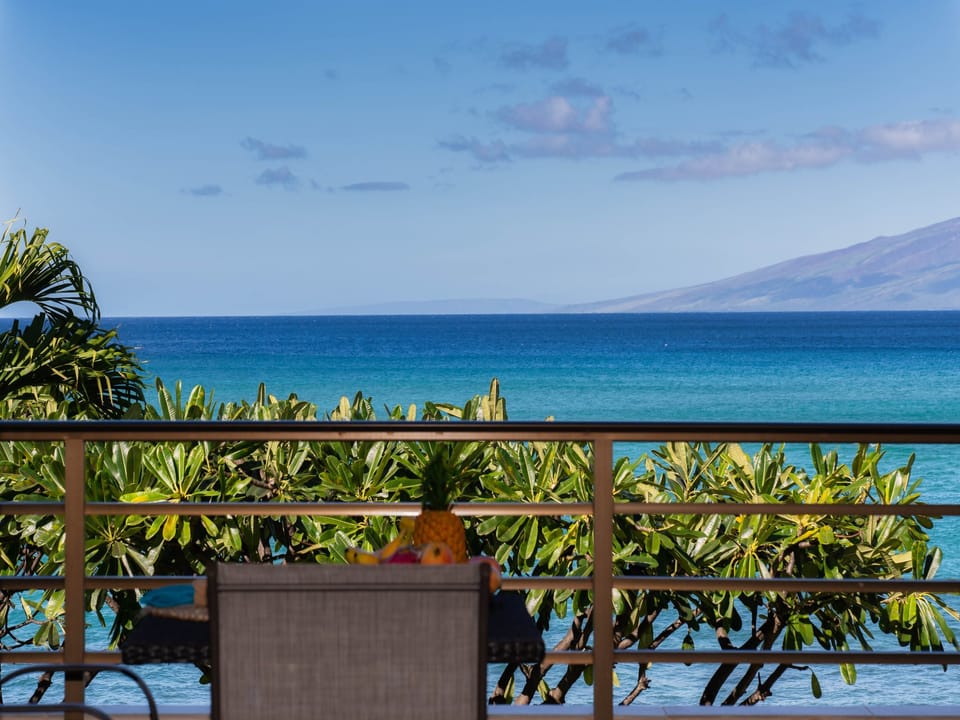 view off the lanai.