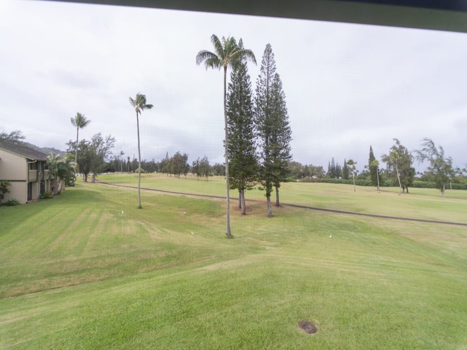 Field