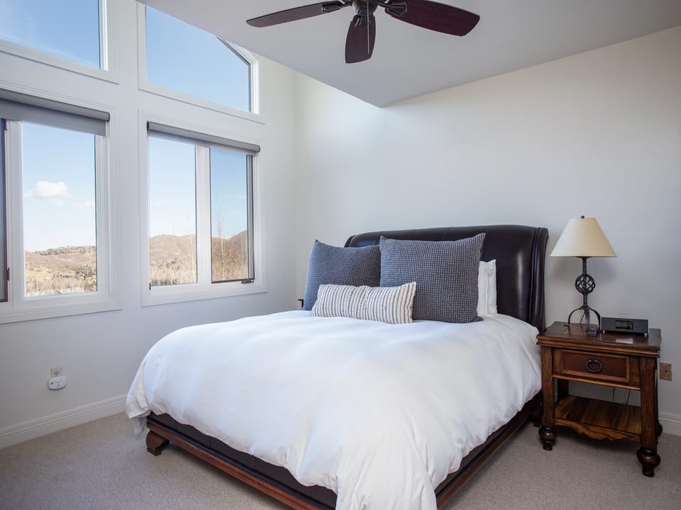 Ceiling Fan