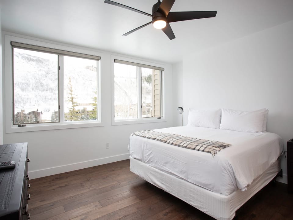 Ceiling Fan