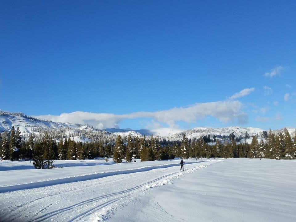 Bear Valley Cross Country and Adventure Company run 36 miles of varied cross country gliding and skating trails in the winter (and tubing and snowshoeing!). In the summer, they are the place to go for bike, kayak and canoe rentals and are also run the local Disk Golf course.