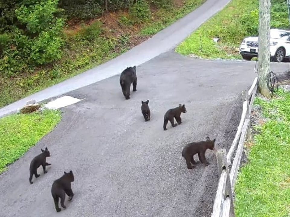 Transportation