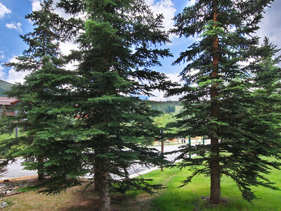 Passage Point 2 Bedroom Condo #119 Apartment in Copper Mountain