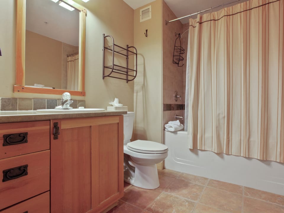 Passage Point 1 Bedroom Condo #518 Apartment in Copper Mountain