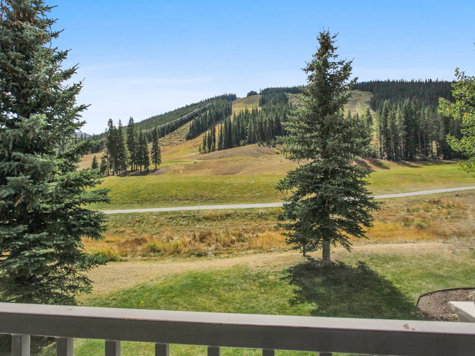 Elk Run 3 Bedroom Townhome #7 Townhouse in Copper Mountain