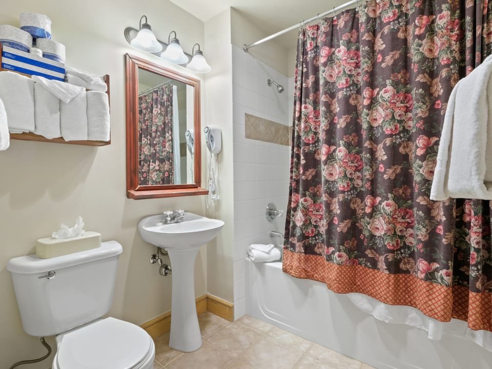 Copper Springs 1 Bedroom Condo #230 Apartment in Summit County