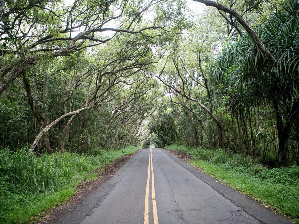 Road