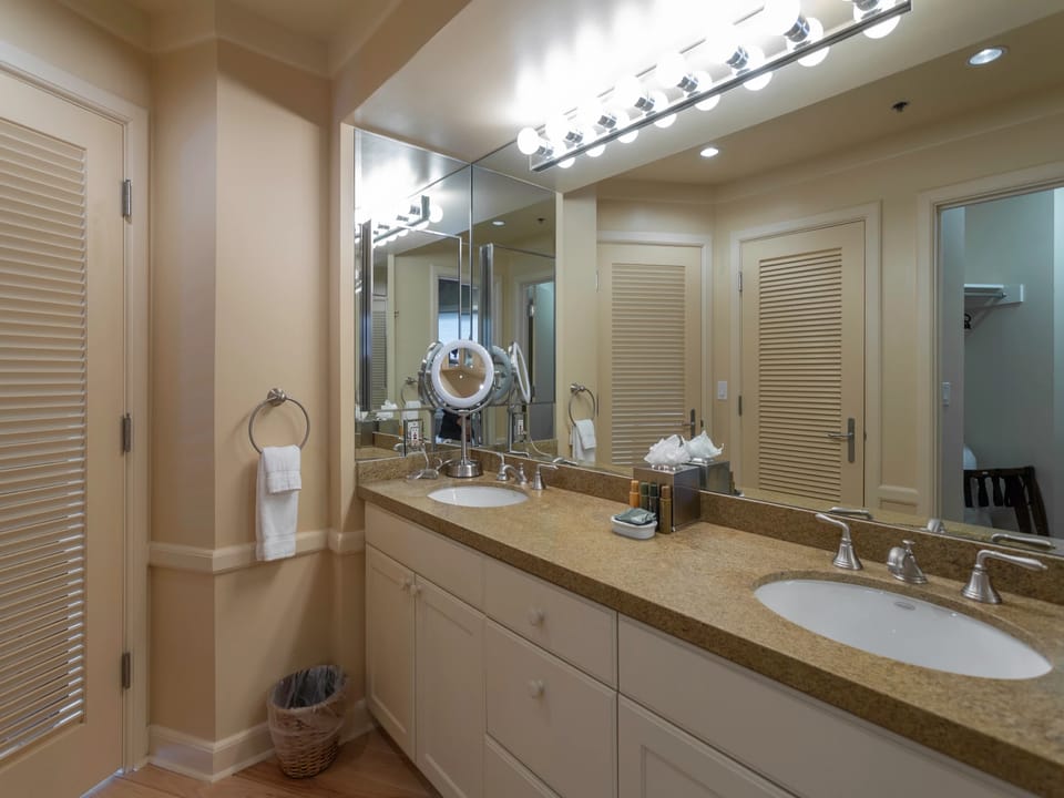 Double Sink