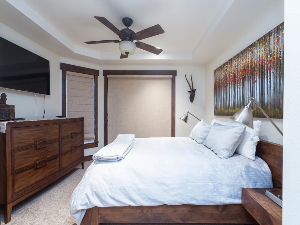 Ceiling Fan