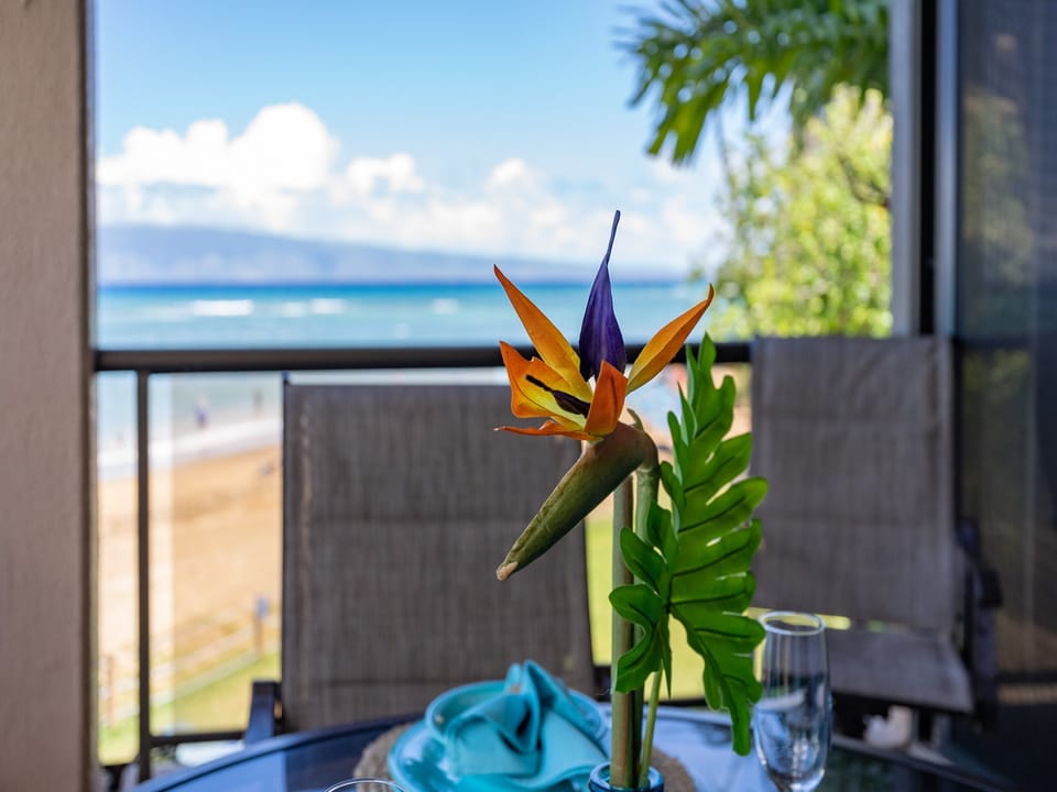 Aloha and welcome
