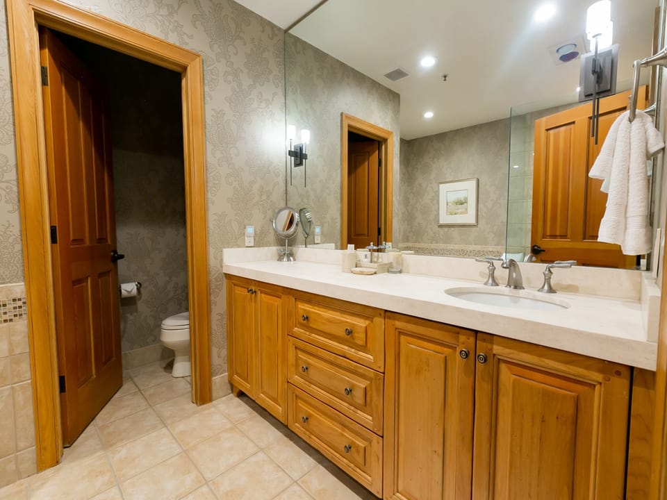 Double Sink