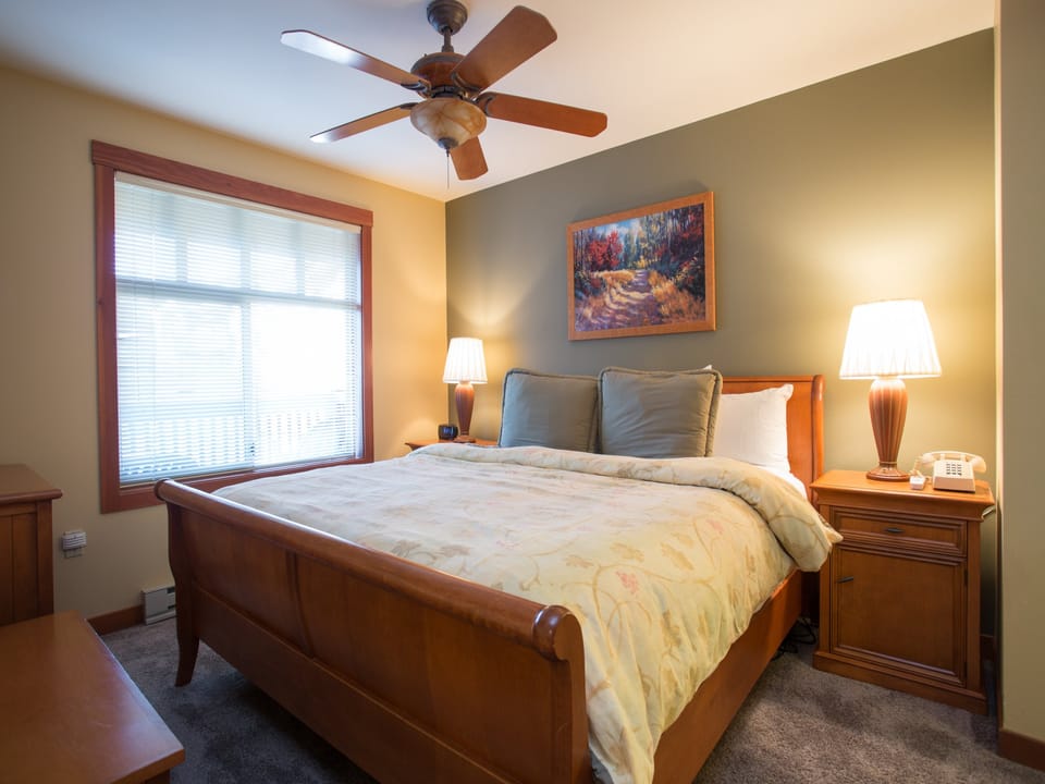 Ceiling Fan
