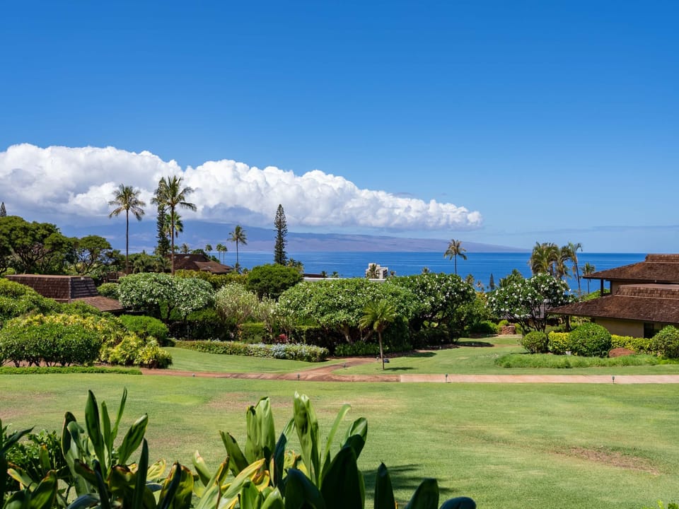 Ocean and mountain views