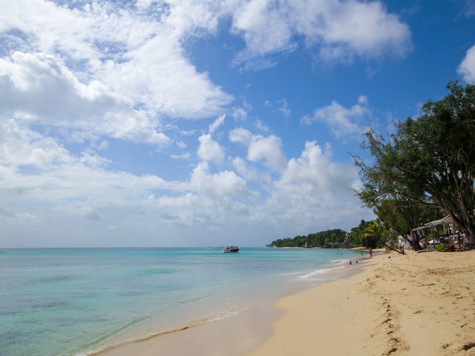Looking north up the beach