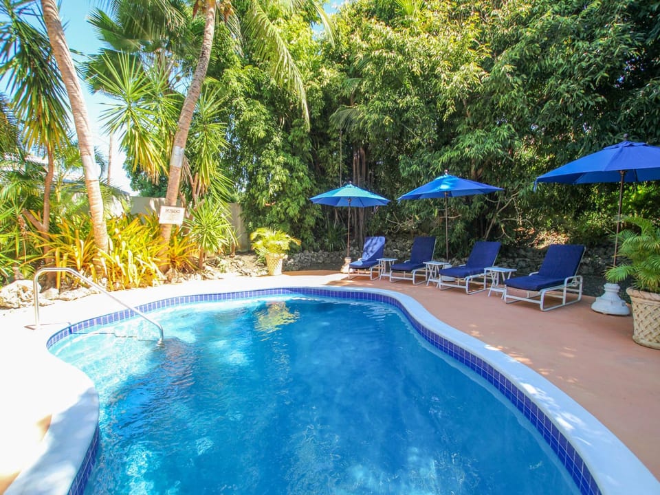 Loungers around the pool for relaxing