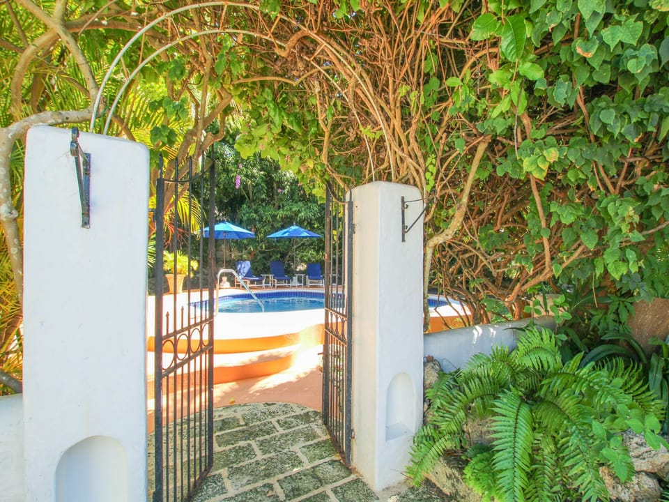 The front entrance of the villa - automatic gates lead to a garage