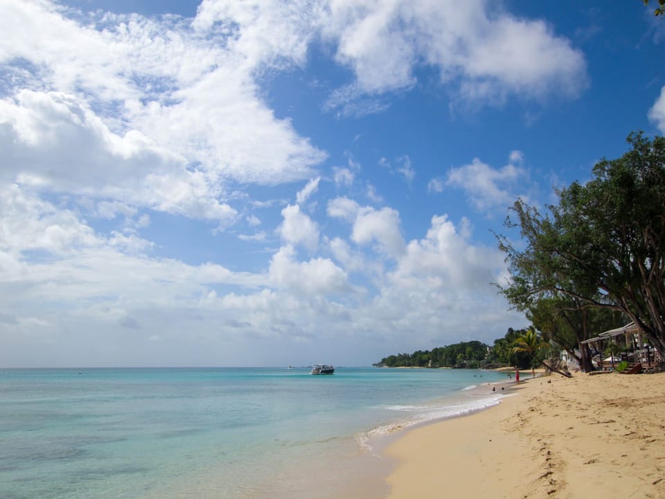 Looking north up the beach