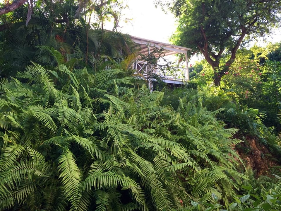 View of the cottage on the way up the stairs from the beach
