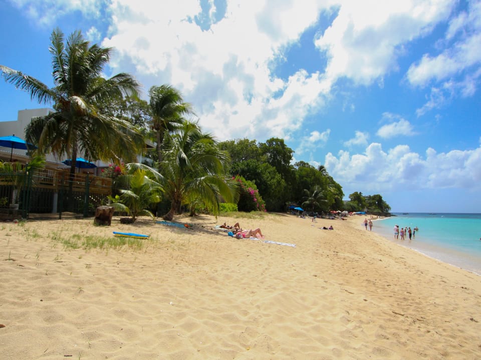 Picture perfect beach days