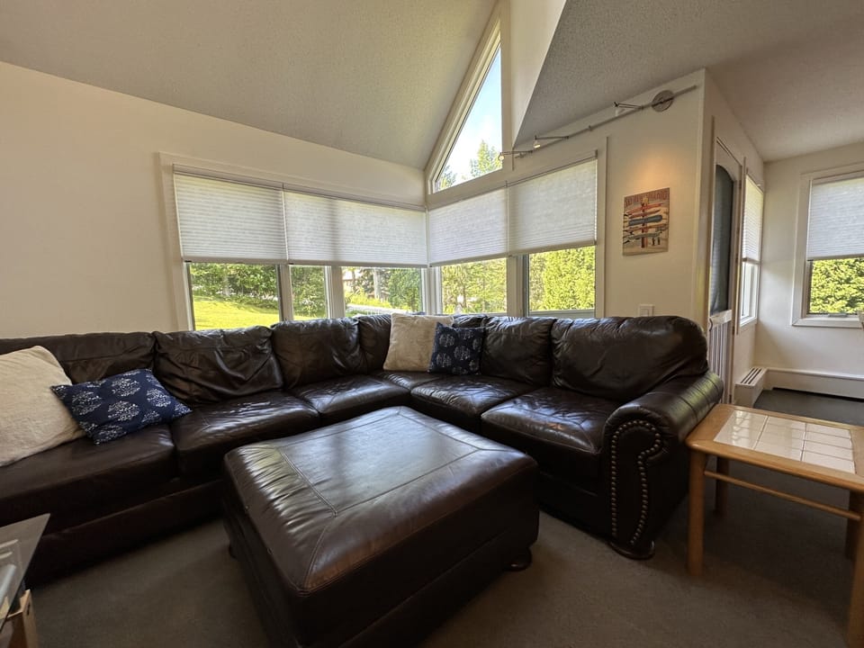 Comfortable couch for lounging