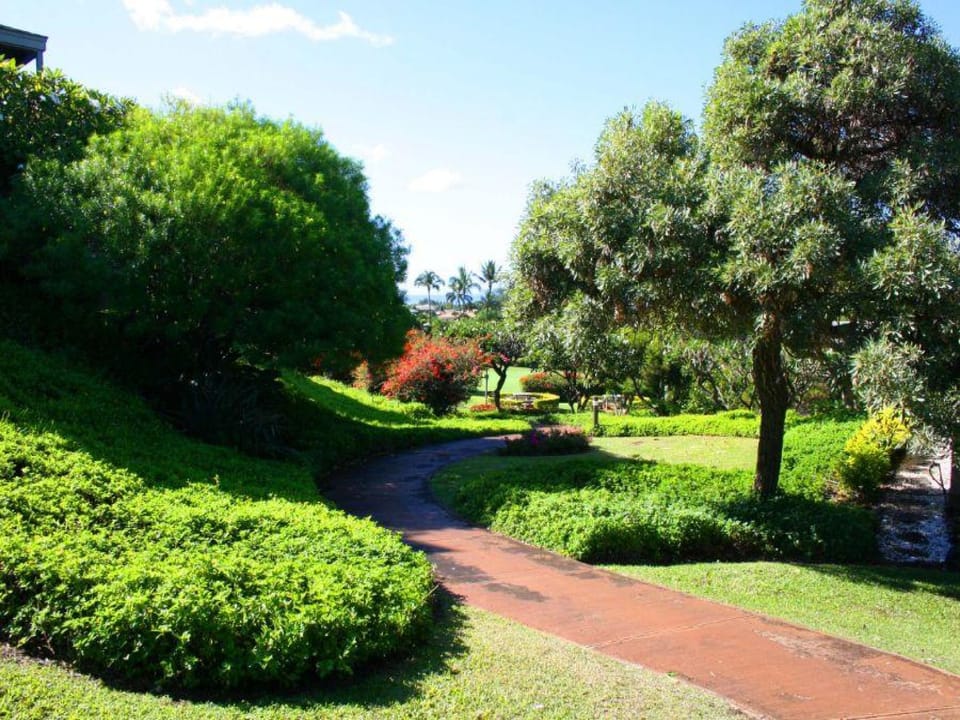 48 Wailea Ekolu, 401